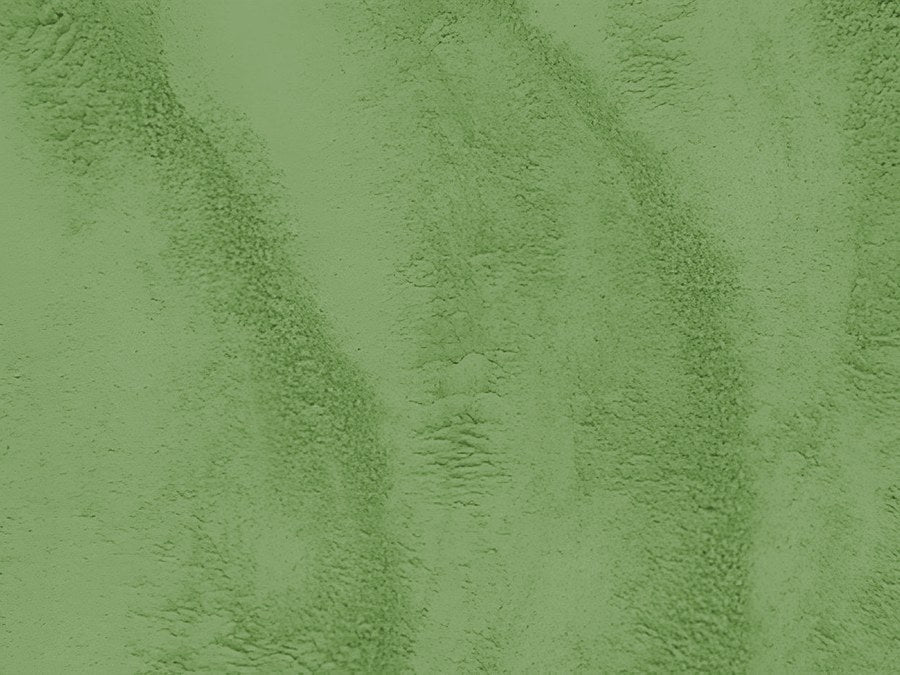 Neem Leaves