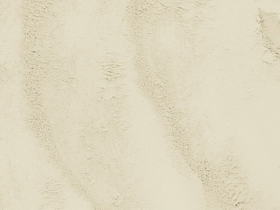 Rice Powder